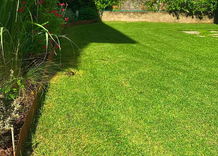 Aloha * Mandello del Lario