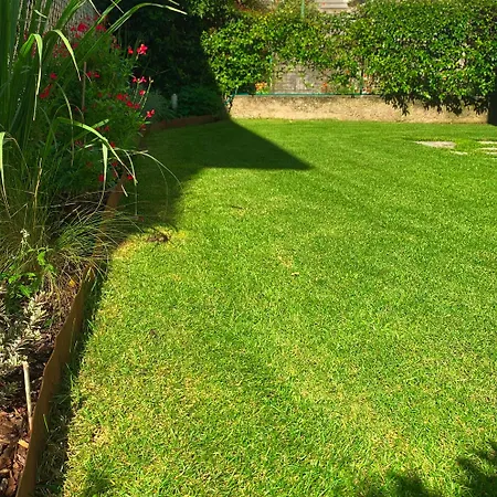 Aloha * 曼代洛-德尔拉里奥